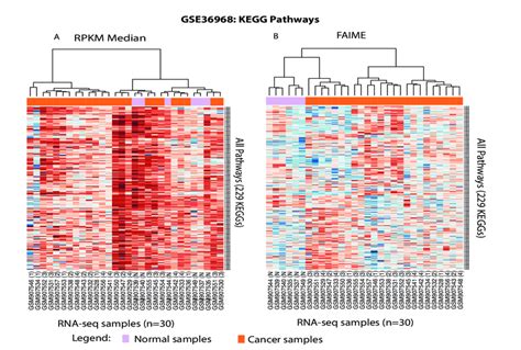 Unsupervised Hierarchical Clustering Of All KEGG Pathway Level Scores