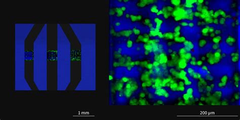 Bio Inx And Upnano Develop Hydrotech Inx U200 For 2pp Printing