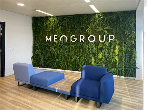 Végétalisation des bureaux Meogroup avec un mur végétal sur mesure