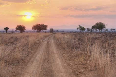 La Savane Africaine Image Stock Image Du Plaine Stationnement 33672509