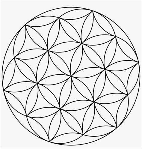 Clipart Flower Of Life Vector Png Free Transparent Png Download