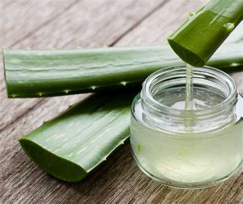 L Aloe Vera Un Rimedio Naturale Per Capelli Sani