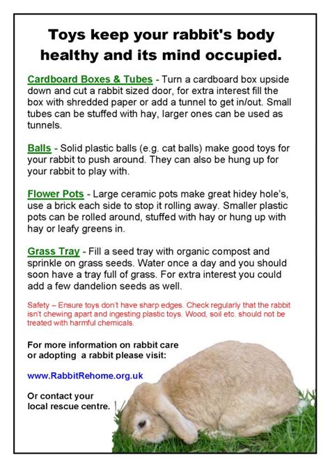 Rabbit Care Sheet Printable