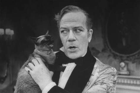 The Guy and The Cat | Siamese cats, Men with cats, Cat people