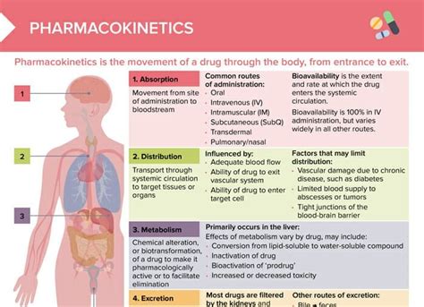 Pharmacokinetics Free Cheat Sheet Lecturio Nursing In