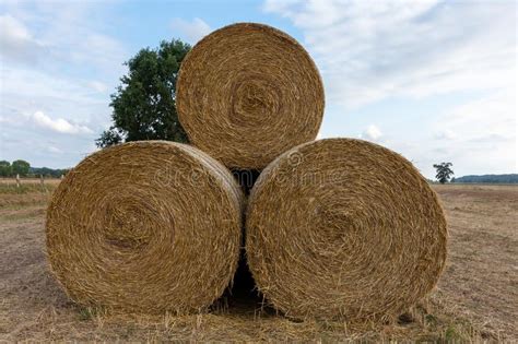 Pile De Balles Rondes De Paille Sur Un Gisement De Chaume Image Stock