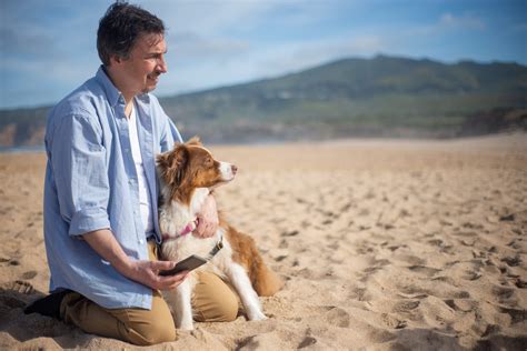 La relation d aide entre le maître et le chien karinefaucher