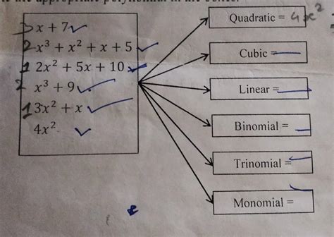 E Boxes Quadratic 4 Cubic Linear Binomial Trinomial