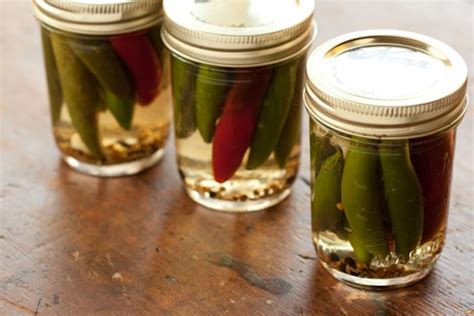 Summer Fest: Pickled Serrano Chile Peppers - Pinch My Salt