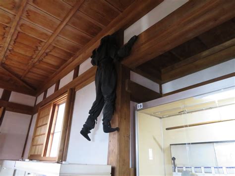 Ninja Spies With Secrets And Cool Moves Jigsaw Japan