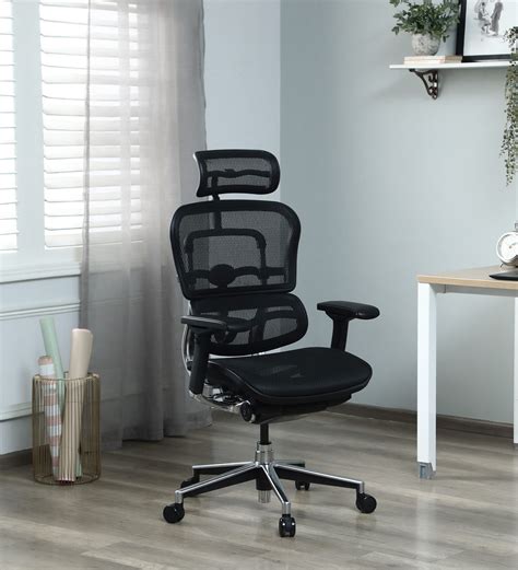 Buy Ergohuman Breathable Mesh Ergonomic Chair In Black Colour With