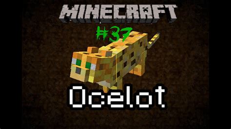 Let S Play Minecraft 37 Putziger Ozelot YouTube