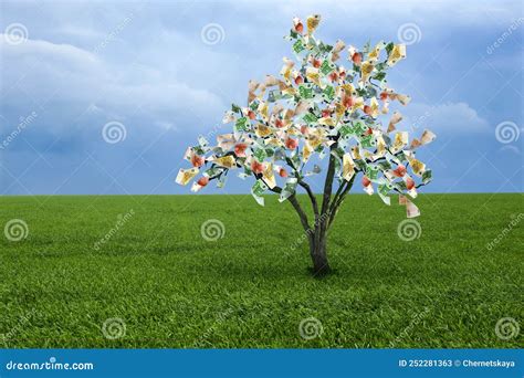 Money Tree On Green Lawn Outdoors Concept Of Financial Growth And Passive Income Stock Image