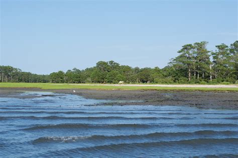 Travel Diary // Chincoteague Island - A Day In The Lalz