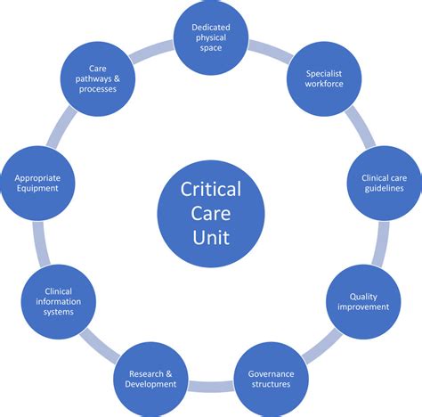 Key Components For Critical Care Delivery Summary Figure Developed