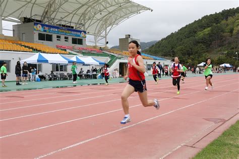 진도교육지원청 제25회 교육장배 학년별 육상대회 개최