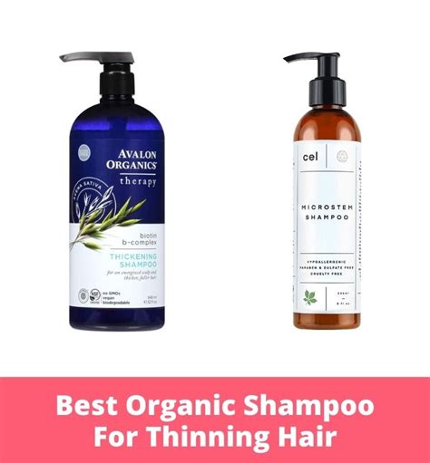 The 10 Best Organic Shampoos For Thinning Hair In 2024 The Apex Beauty