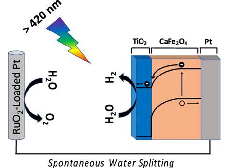 Schematic Of A Photoelectrochemical Cell Consisting Of Tio