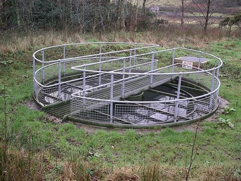 File Secondary Sedimentation Tank W Wikimedia Commons