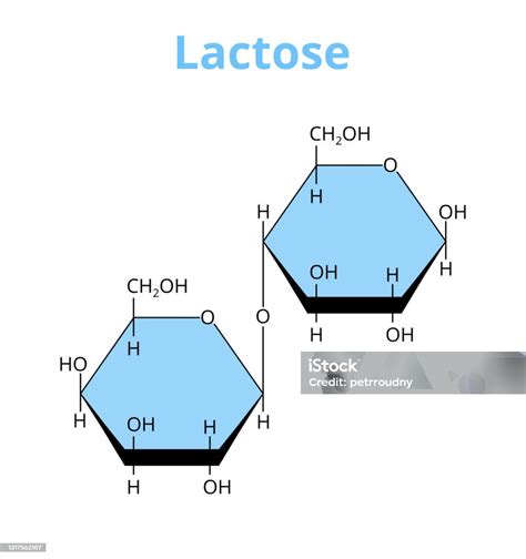 Vektor Molekylär Struktur Av Disackarid Laktos Kemisk Formel Av Ett