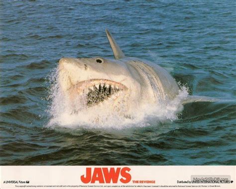 Jaws The Revenge 1987