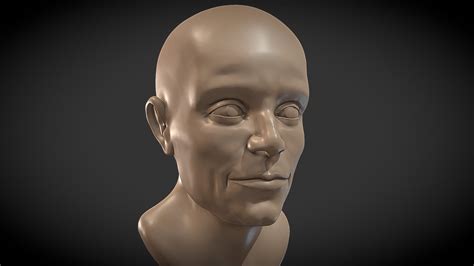 Sculpting Practice 19 Male Head Buy Royalty Free 3d Model By Ryan King Art Ryankingart