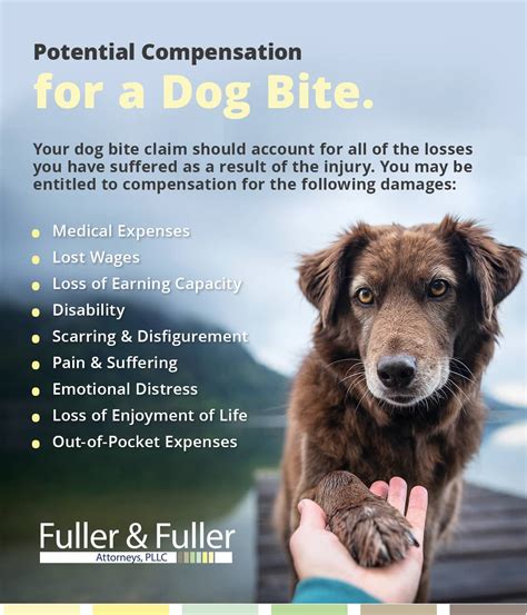 Dog Bite Injury Lawyers, Olympia & Tacoma