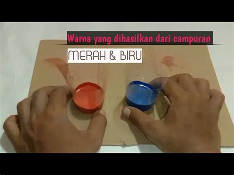 Cara Mudah Memahami Merah Dan Biru Campur Jadi Warna Apa Biotifor