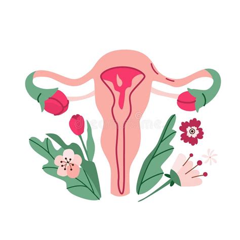 Uterus Organ Reproductive System With Flowers Female Nature Womens