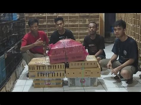 Minggu Ceria Cakung Bongkar Full Stok Langsung Merapat Youtube