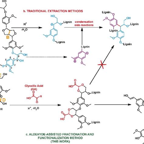 Overview Of The Lignin Extraction And Functionalization Presented In