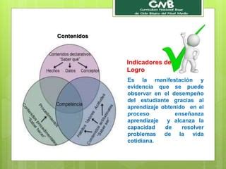 Elementos Fundamentos Y Enfoques Del Cnb PPT