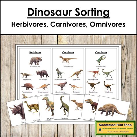 Omnivores Herbivores Carnivores Chart