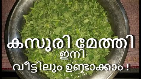 How to make Kasoori Methi leaves at Home കസര മതത ഇന വടടല