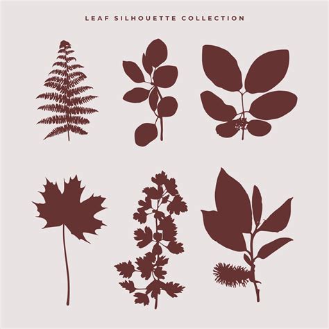 leaf silhouette vector collection 3485641 Vector Art at Vecteezy