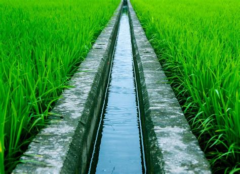 El Almacenamiento De Agua Es Un Elemento Central De La Adaptaci N Al