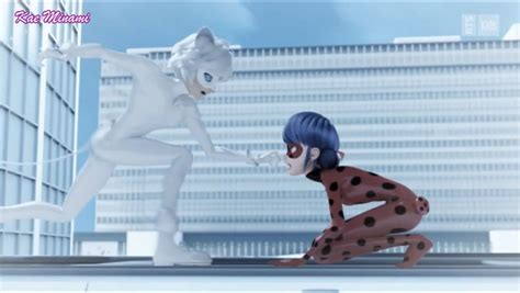 Pin By Caitlyn On Miraculous Ladybug Miraculous Ladybug Funny