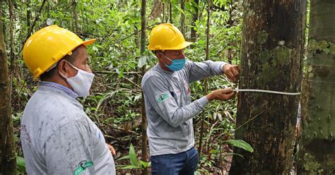 Dialogue for community forestry in Colombia - EU REDD Facility