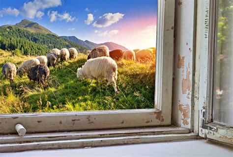 Sheep in the Alps Mountains, Switzerland jigsaw puzzle in Animals puzzles on TheJigsawPuzzles.com