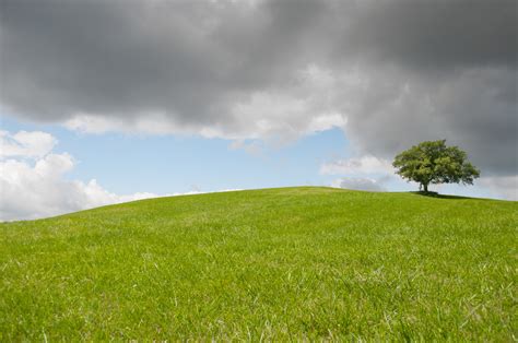 Free Images Landscape Tree Nature Outdoor Horizon Cloud Plant