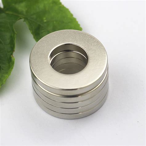 High Performance N45 Rare Earth Magnet Permanent Magnet Ring Neodymium