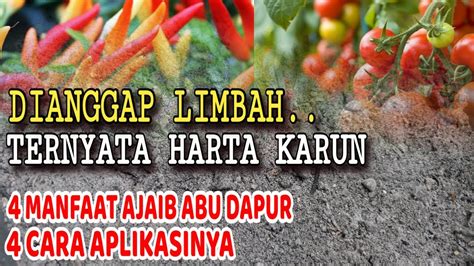 Mengungkap Potensi Limbah Dapur Si Harta Karun Tersembunyi Manfaat