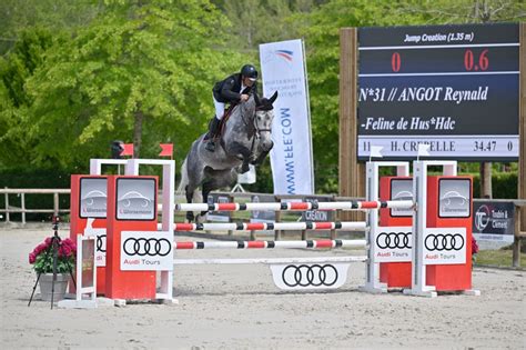 Le Haras des Coudrettes Victoire de Féline de Hus HDC