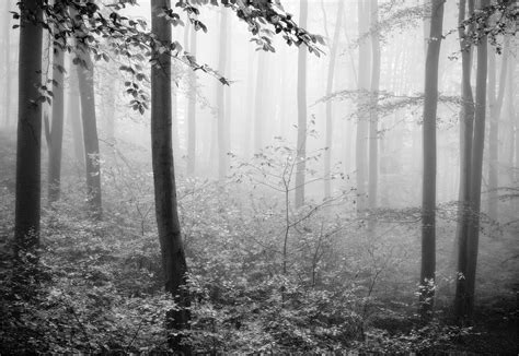 wals (Forum für Naturfotografen)