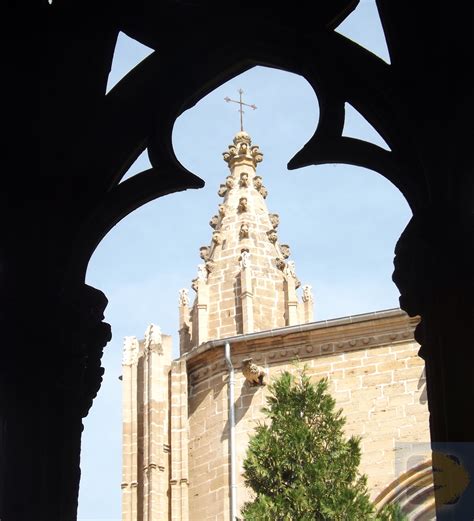 Cloister View Cathedral Santa Maria Pamplona | Camino de Santiago Forum