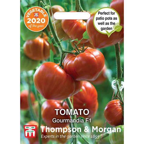 Thompson And Morgan Tomato Gourmandia F1 Hybrid At Barnitts Online Store