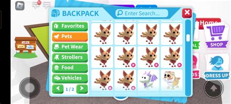 Trading My Adopt Me Pets For Royale High Items Royale High Diamonds