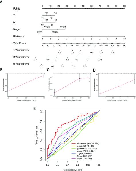 Clinical Prognostic Nomogram For Survival Prediction A A Clinical Download Scientific Diagram