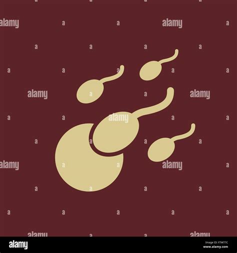 Sperm Egg Conception Stock Vector Images Alamy