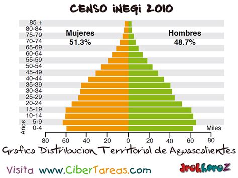 Composici N Por Edad Y Sexo En Aguascalientes Censo Inegi